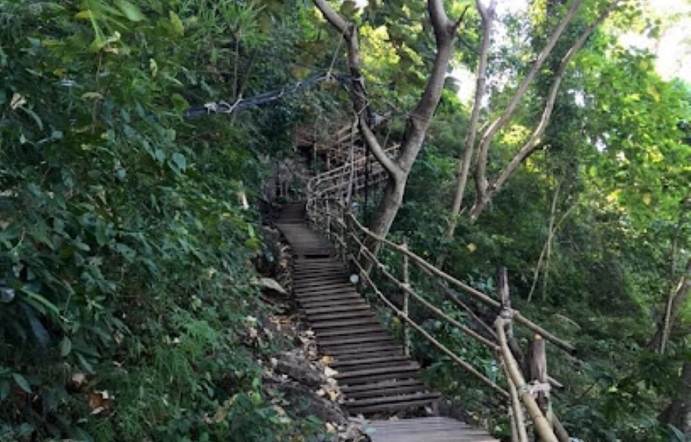 Monkey Trail